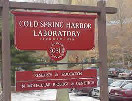 NITEWORKS DI PRODOTTI HERBALIFE