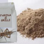 La Farina di grilli, il prodotto piu' conosciuto tra quelli a base di insetti, sara' il nostro futuro?