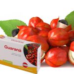 Il guaranà è una pianta rampicante sempreverde dalle proprietà eccitanti