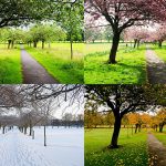 Le stagioni influenzano molto il paesaggio e anche il nostro corpo